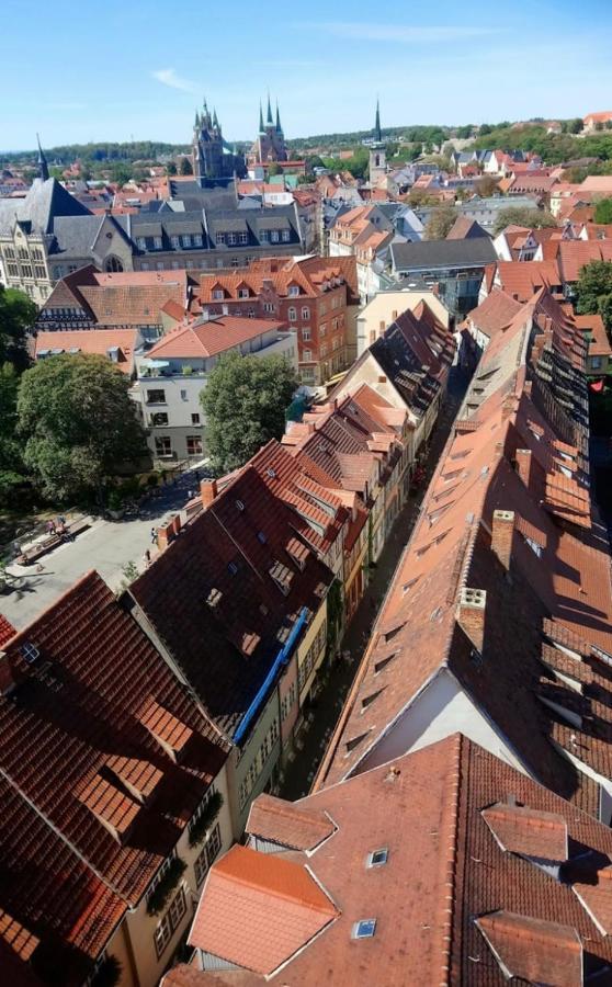 -Apartment Am Luisenpark-Perfekte Lage Im Gruenen Fuer Ihren Aufenthalt Эрфурт Экстерьер фото